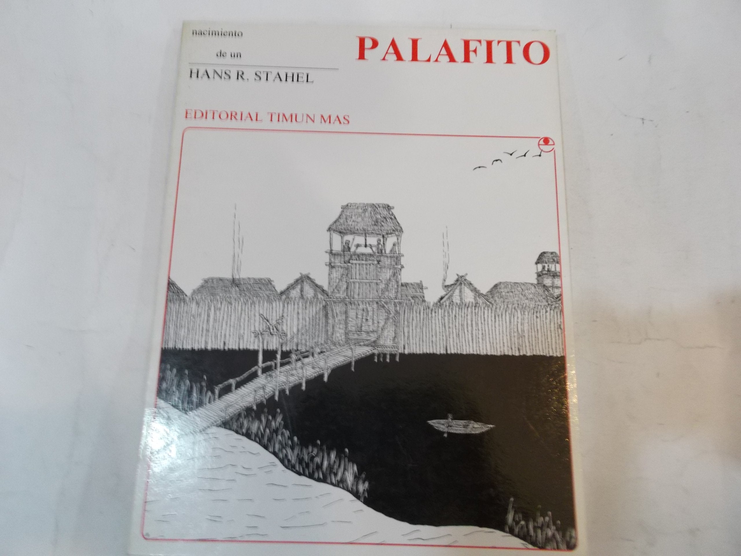 Nacimiento De UN Palafito/the Birth of a Prehistoric Lake book