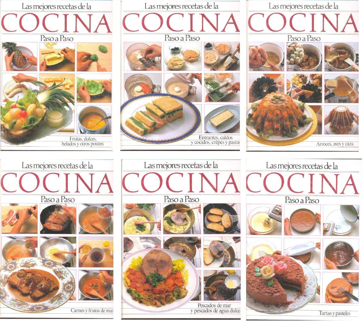 Las Mejores Recetas De La Cocina Paso a Paso/ Best Cooking Recipes Step by Step book