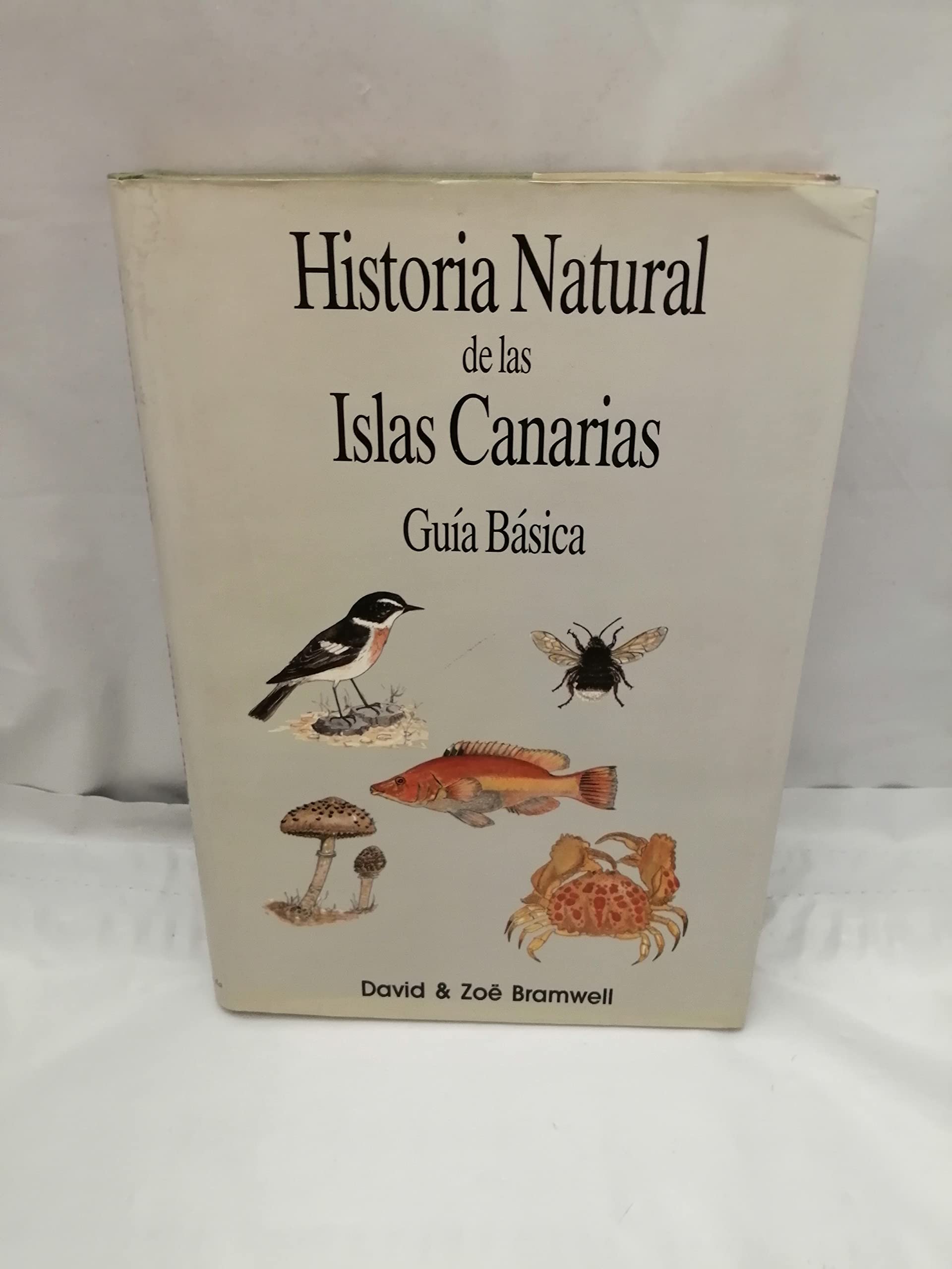 Product Image: Natural History of the Canary Islands: A Basic Guide