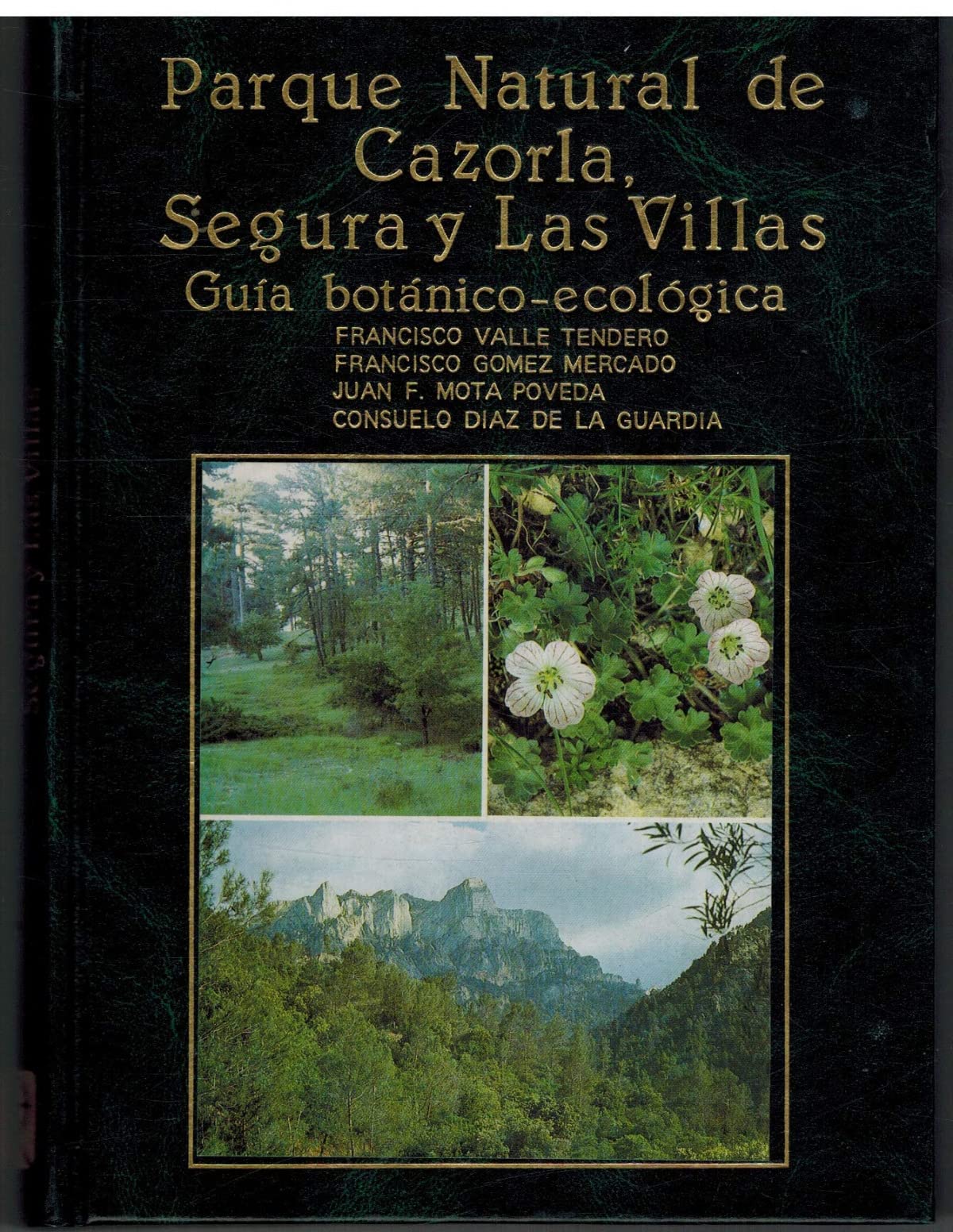Parque Natural de Cazorla, Segura y Las Villas : guía botánico-ecológica book