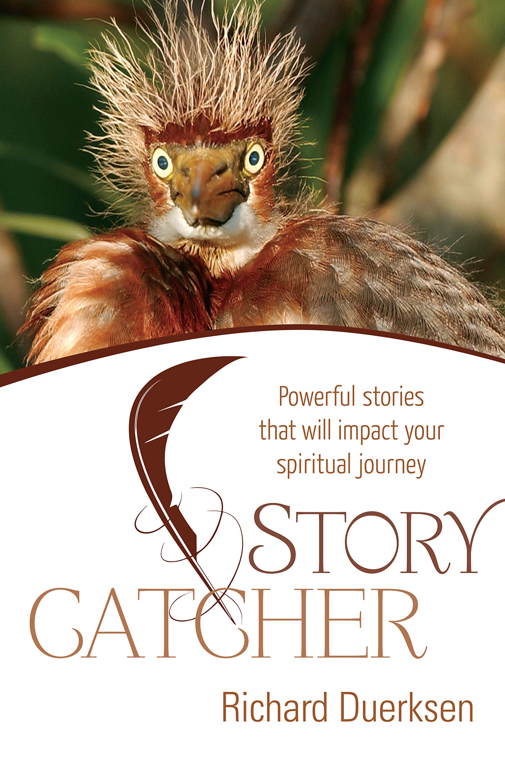 Product Image: Story catcher