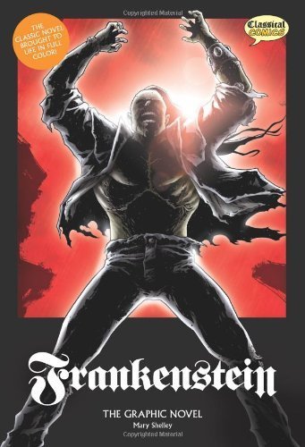 Frankenstein: The Graphic Novel (American English, Original Text) by Mary Shelley (2009) Paperback Books