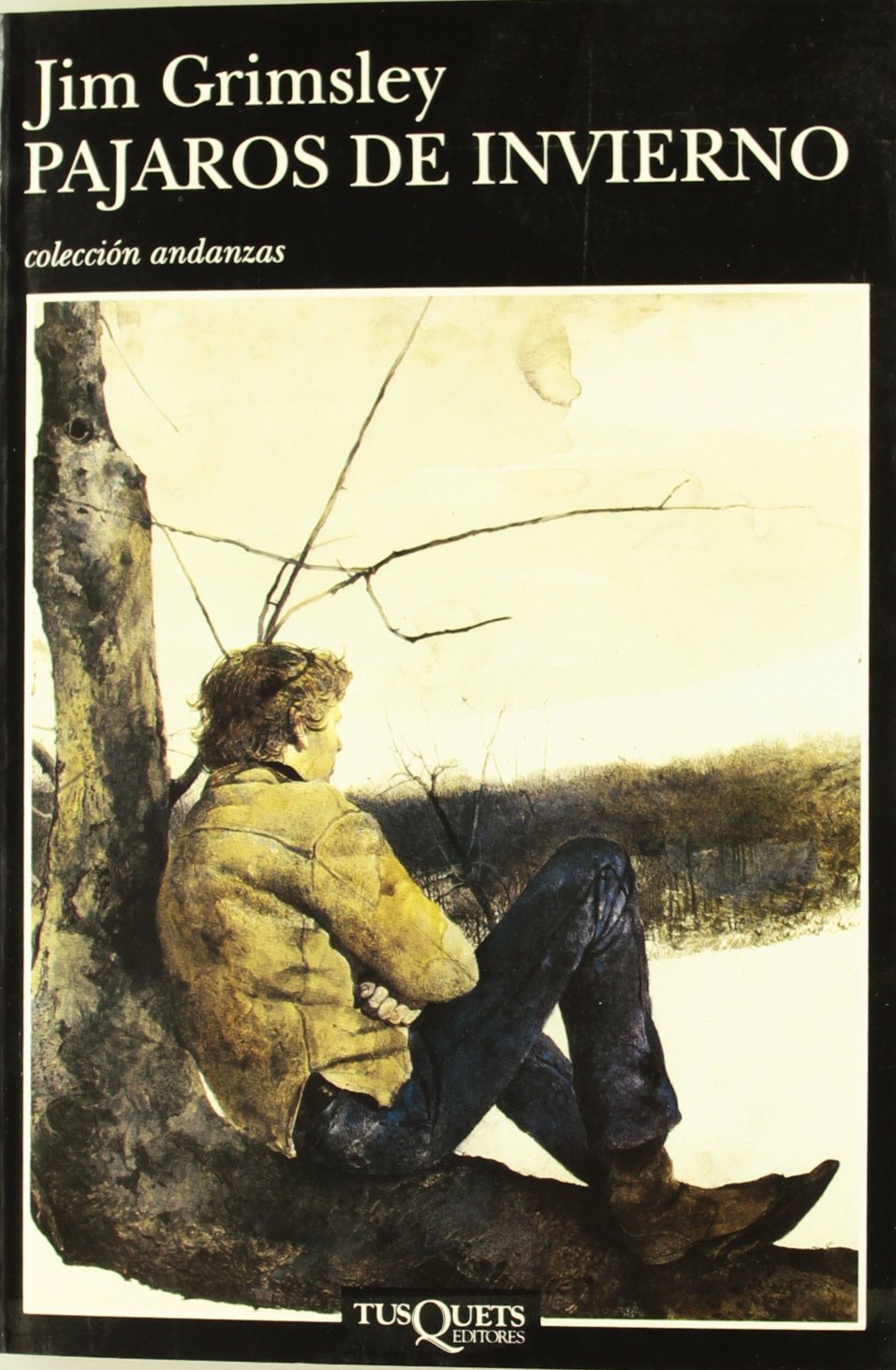 Pájaros de invierno (Andanzas, Band 259) Social Sciences