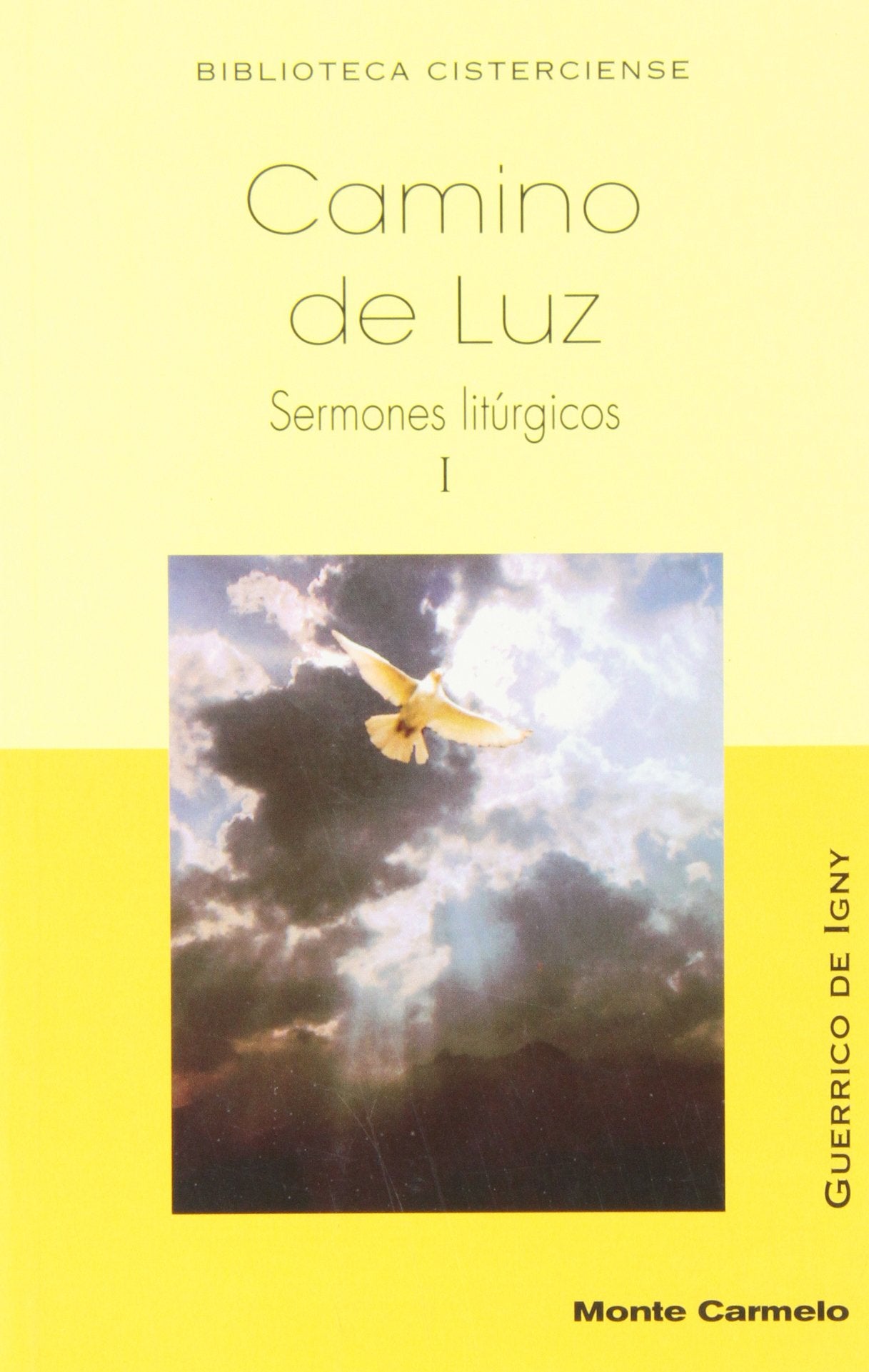 Camino de Luz: Sermones Litúrgicos I book