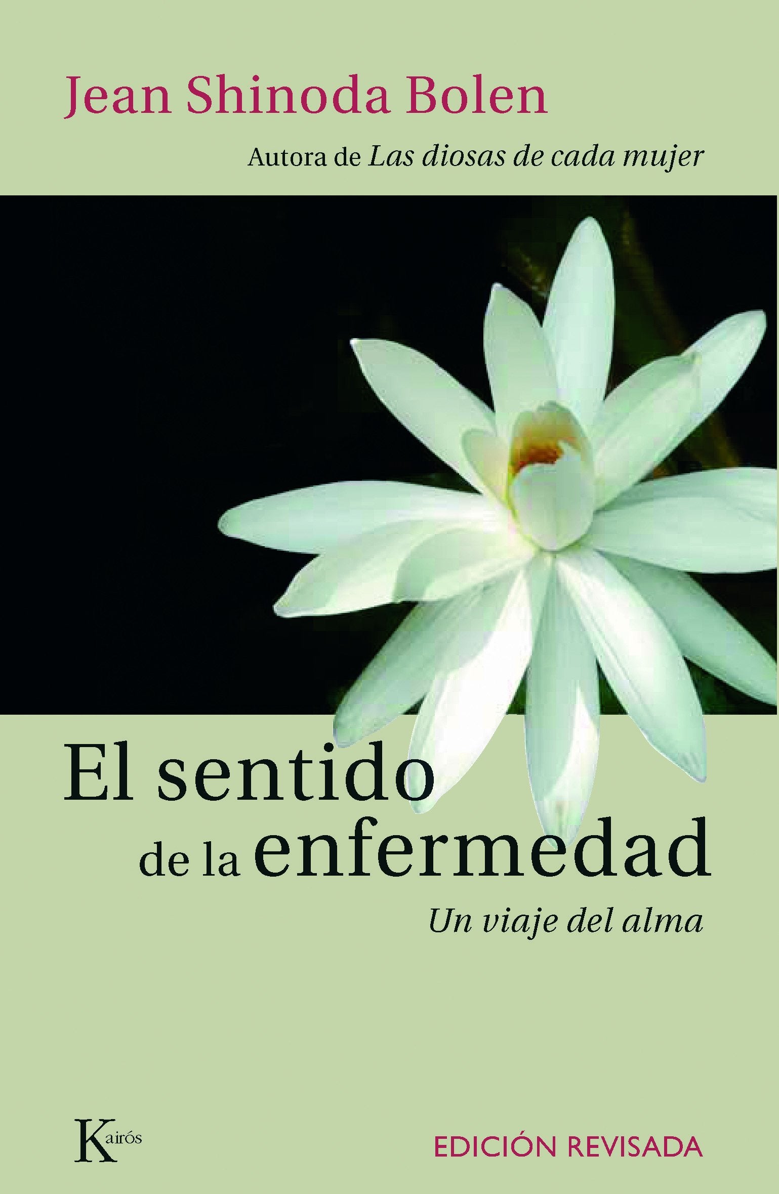 El sentido de la enfermedad: Un viaje del alma book