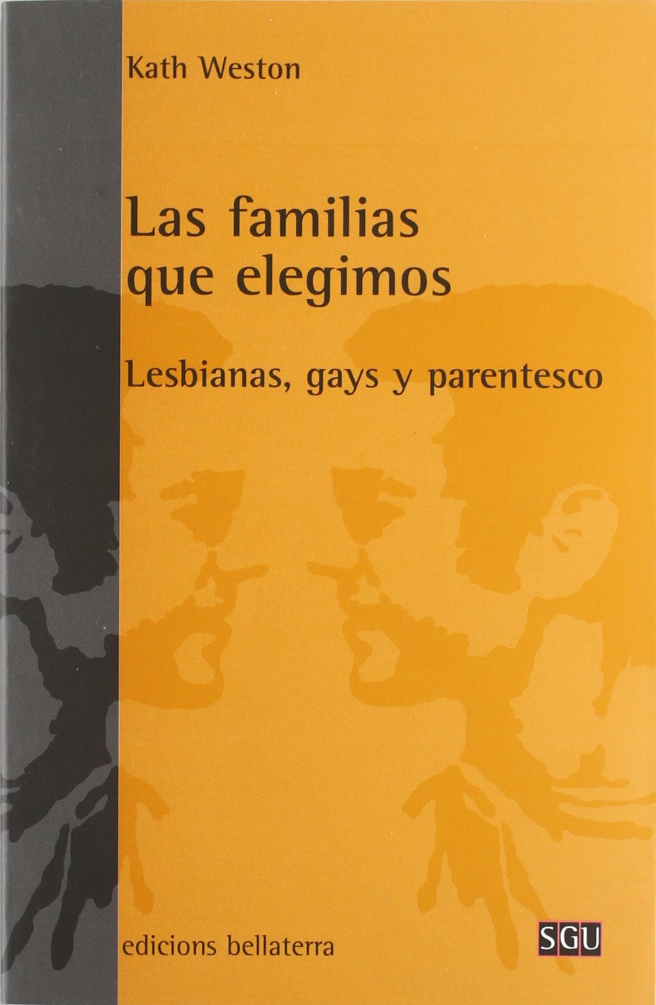 Las familias que elegimos : lesbianas, gays y parentesco book