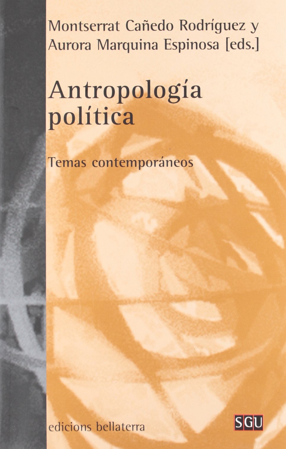Antropología política: Temas contemporáneos book