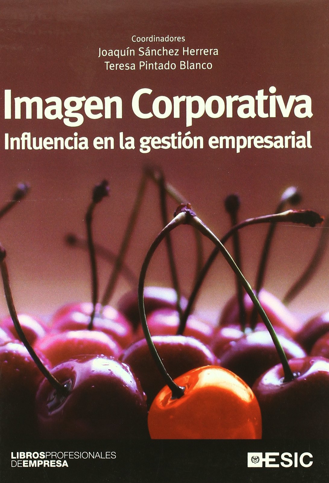 Imagen Corporativa: Influencia en la gestión empresarial book
