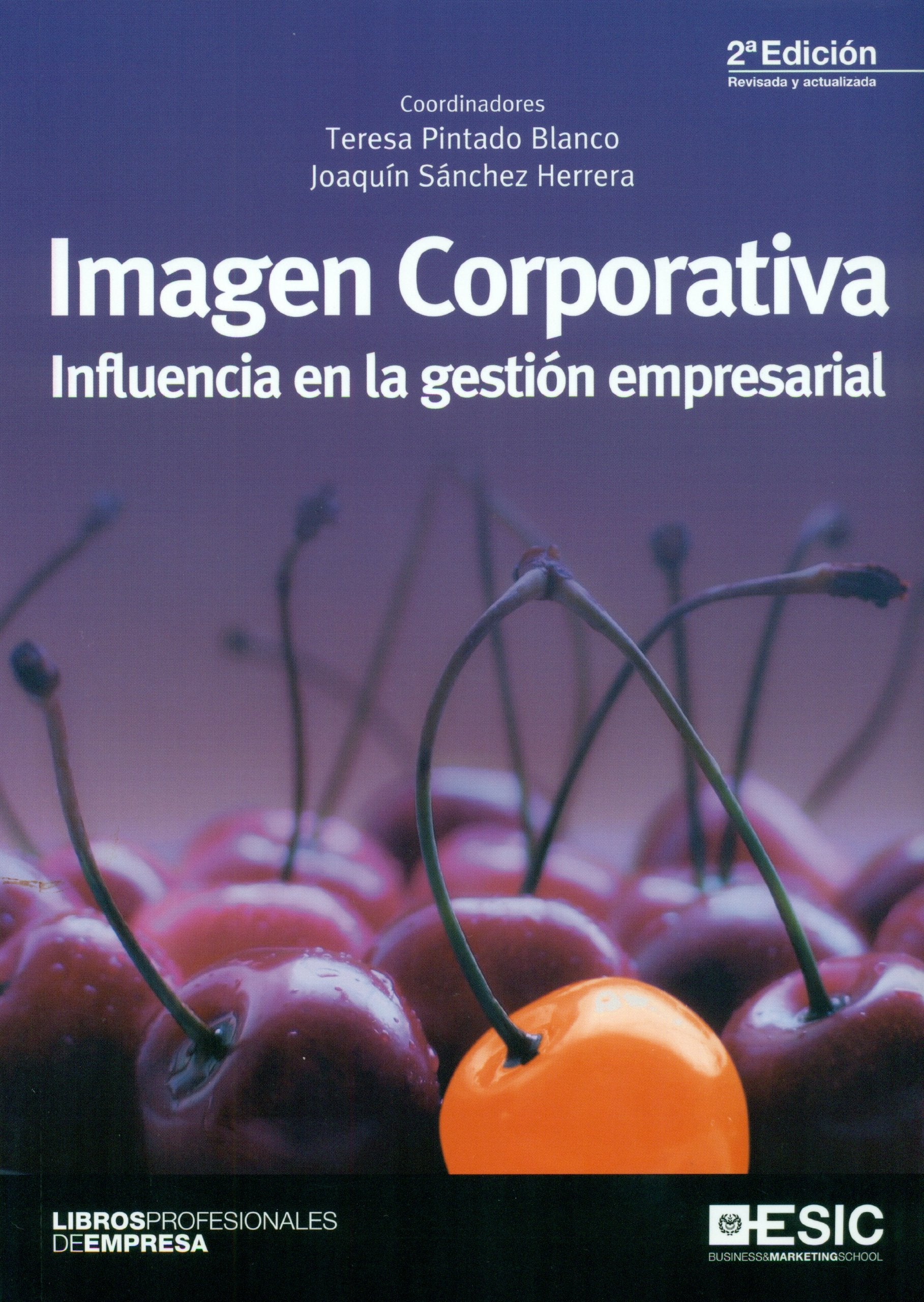 Imagen corporativa: influencia en la gestión empresarial book