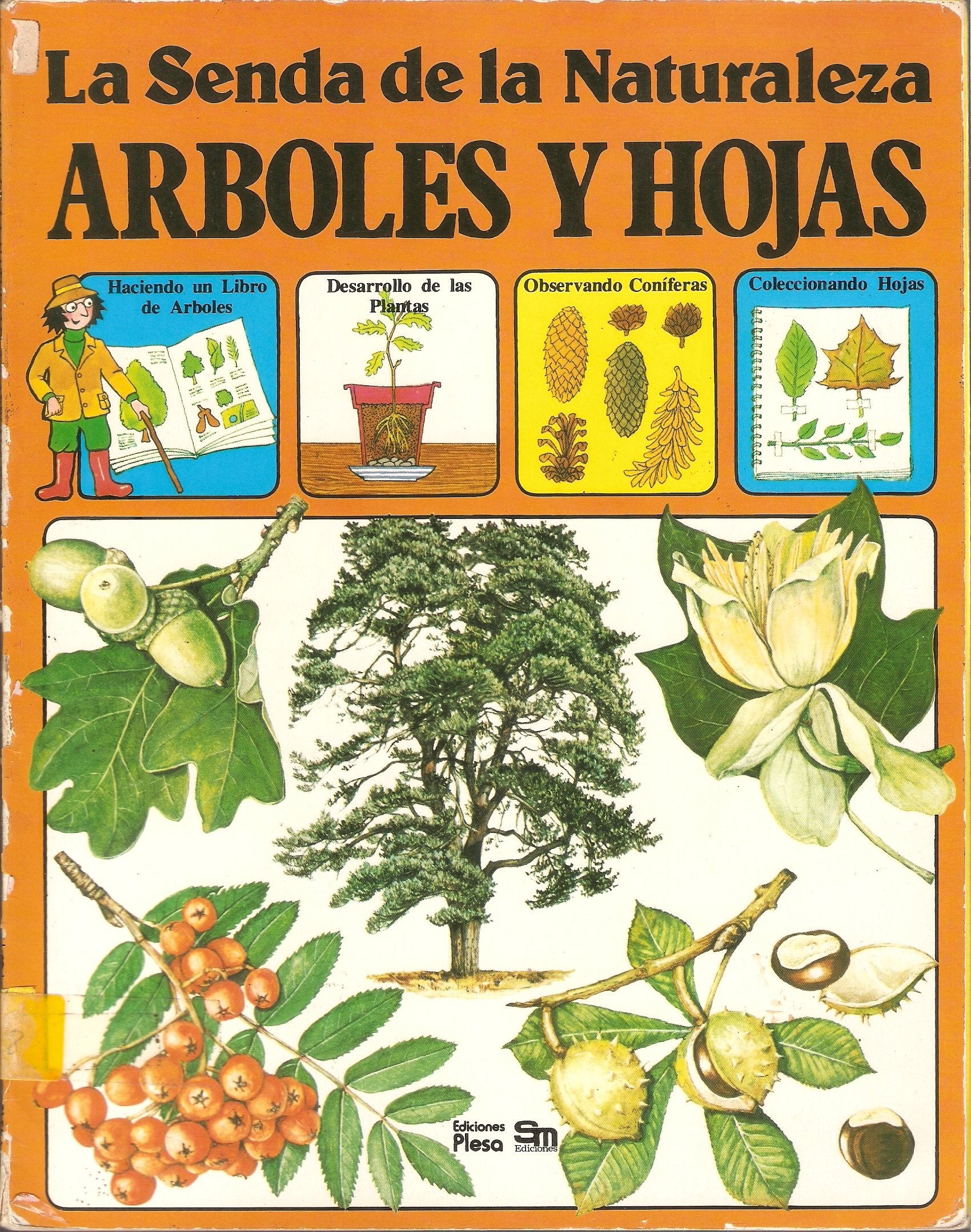 Arboles y hojas (la senda de la naturaleza) Books