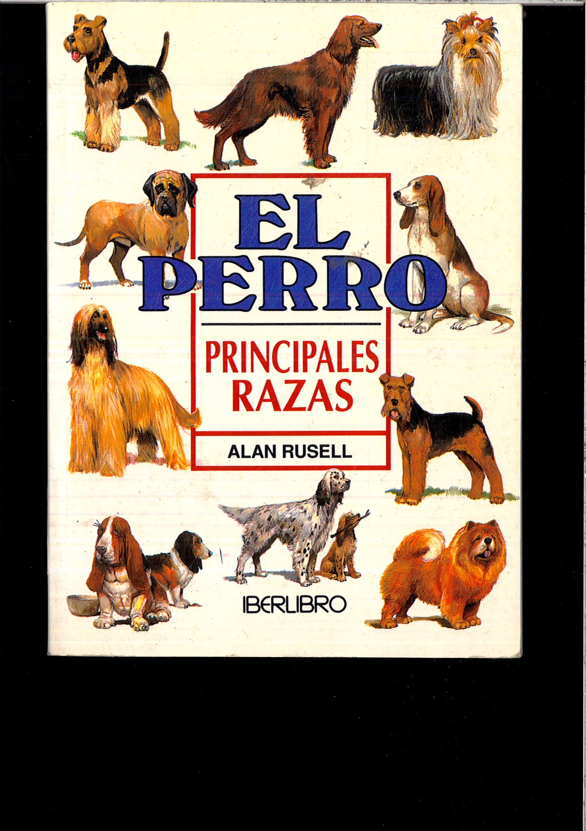 Perro, el - principales razas (Minilibro) Books