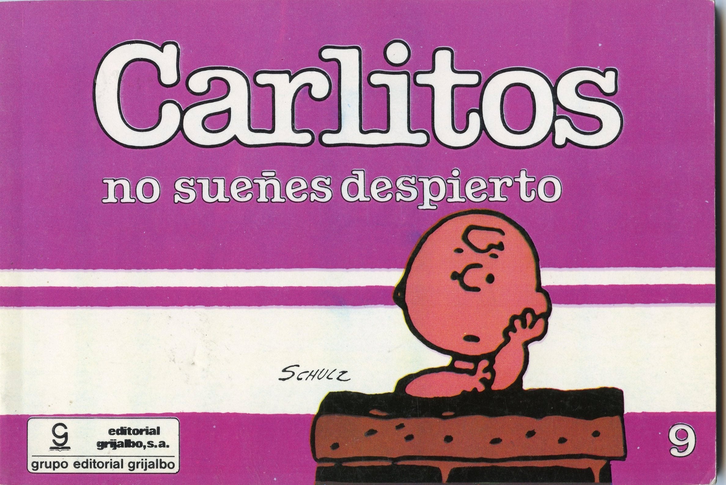 Carlitos no sueñes despierto book
