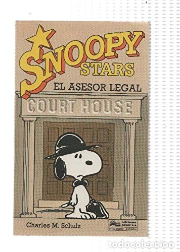 Asesor legal, el book