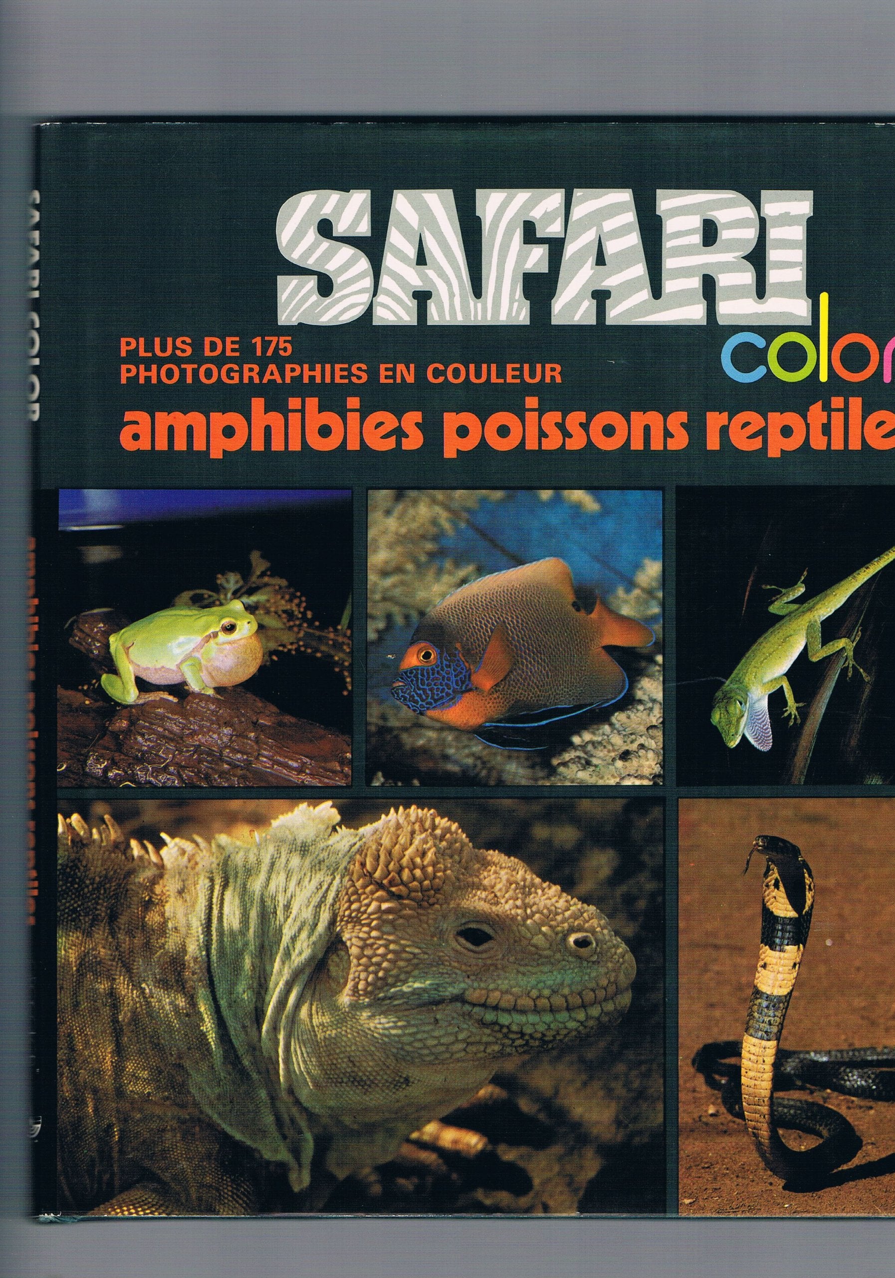 Amphibies i.e. Amphibiens, Poissons, Reptiles (Safari color) Books