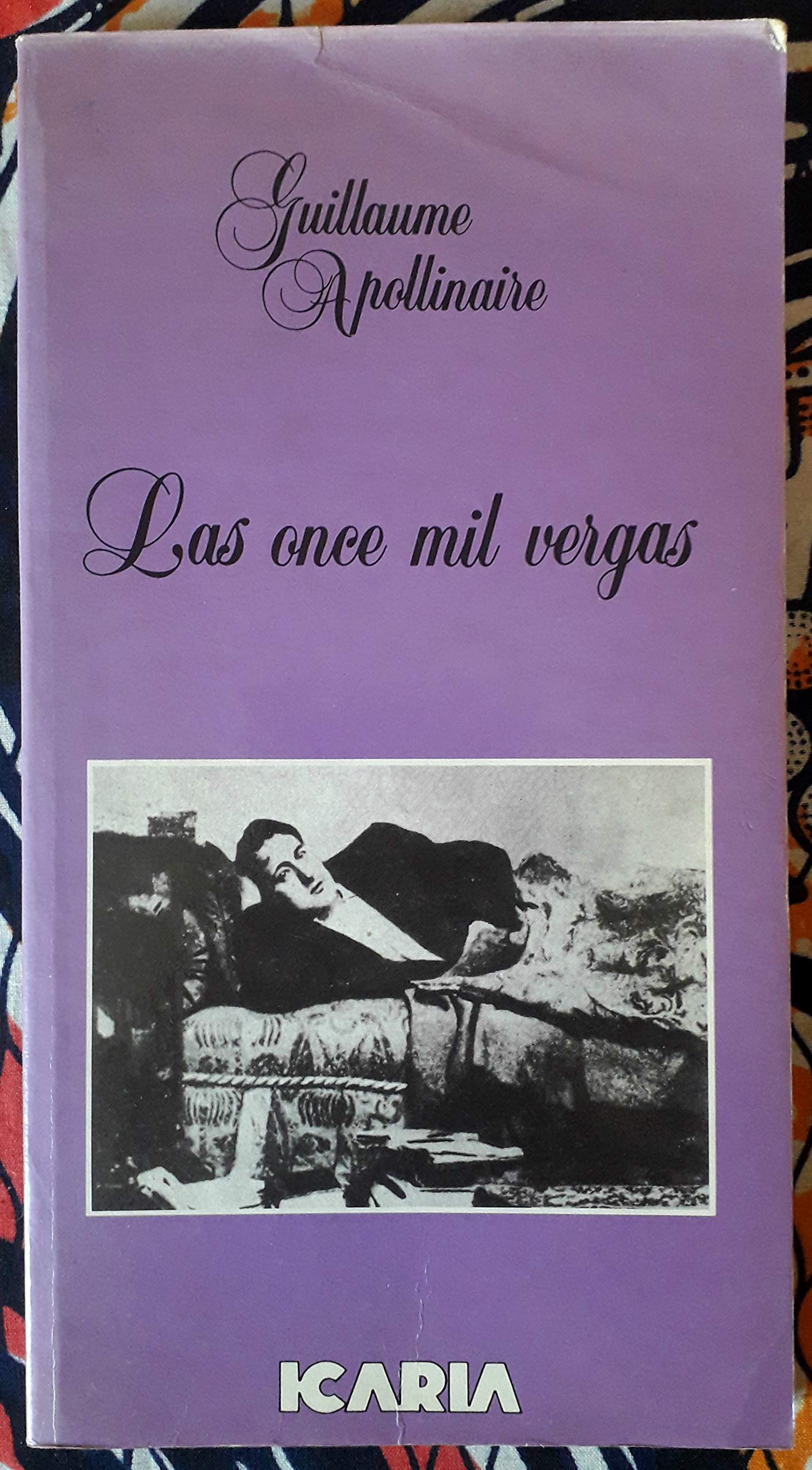 Las once mil vergas (Totum Revolutium) book