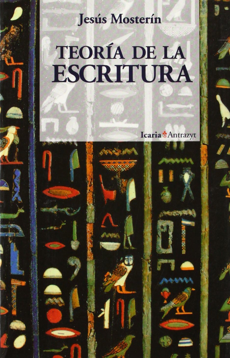 TEORÍA DE LA ESCRITURA book
