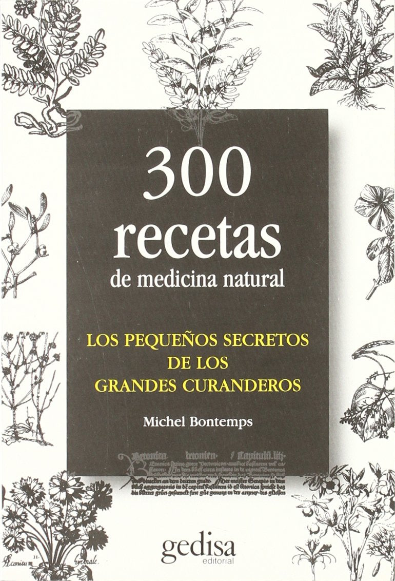 Los Pequenos Secretios De Los Grandes Curanderos book