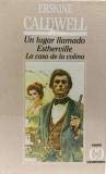 Un lugar llamado Estherville ; La casa de la colina Books