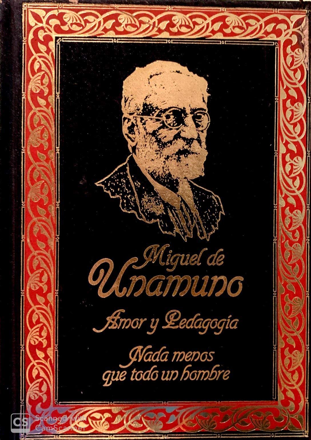 Amor y pedagogia;nada menos que todo un hombre book