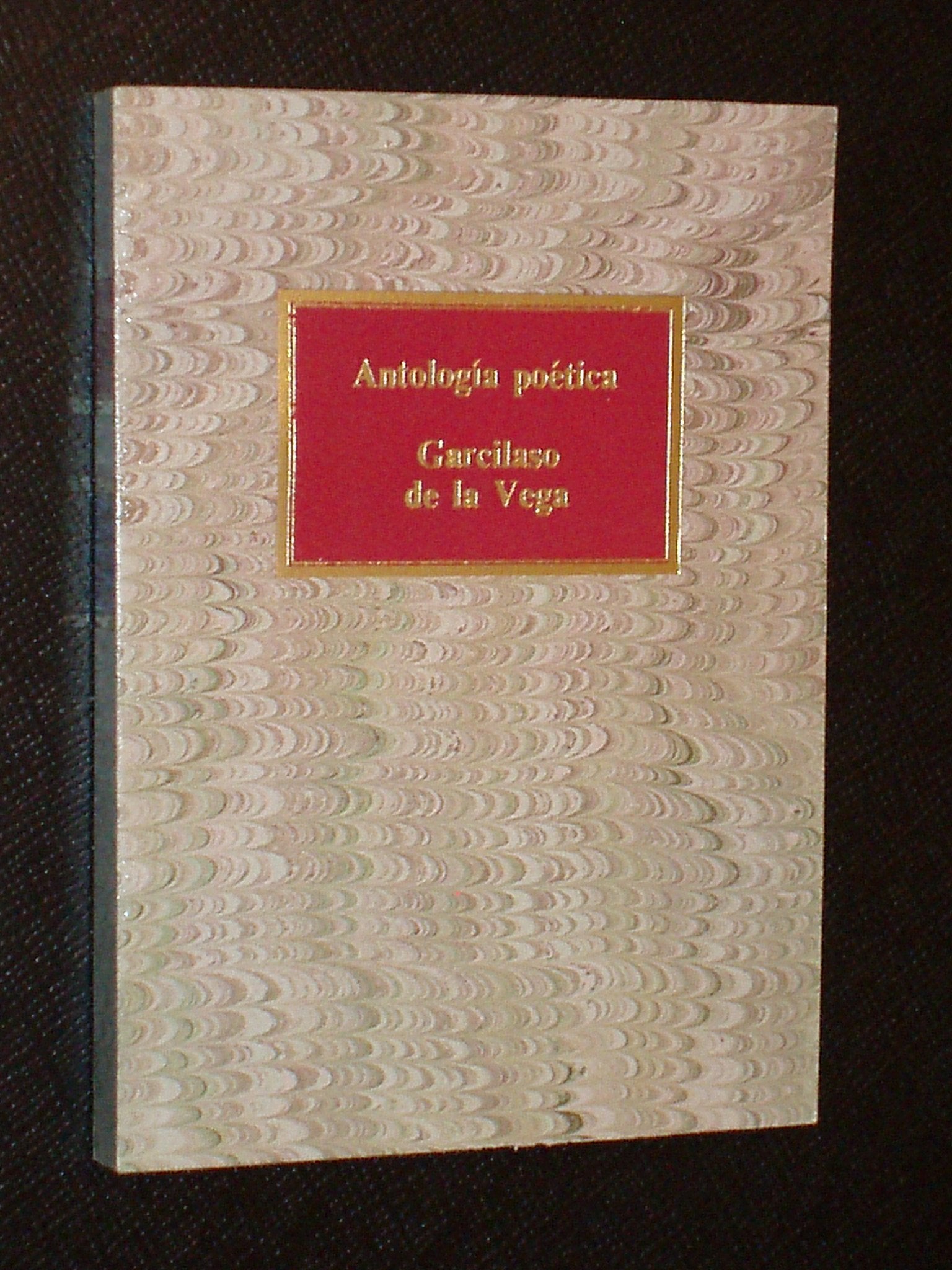 ANTOLOGÍA POÉTICA book