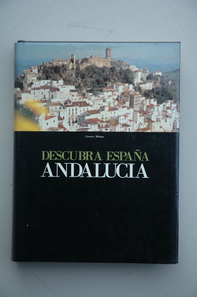 DESCUBRA ESPAÑA PASO A PASO. ANDALUCIA. book