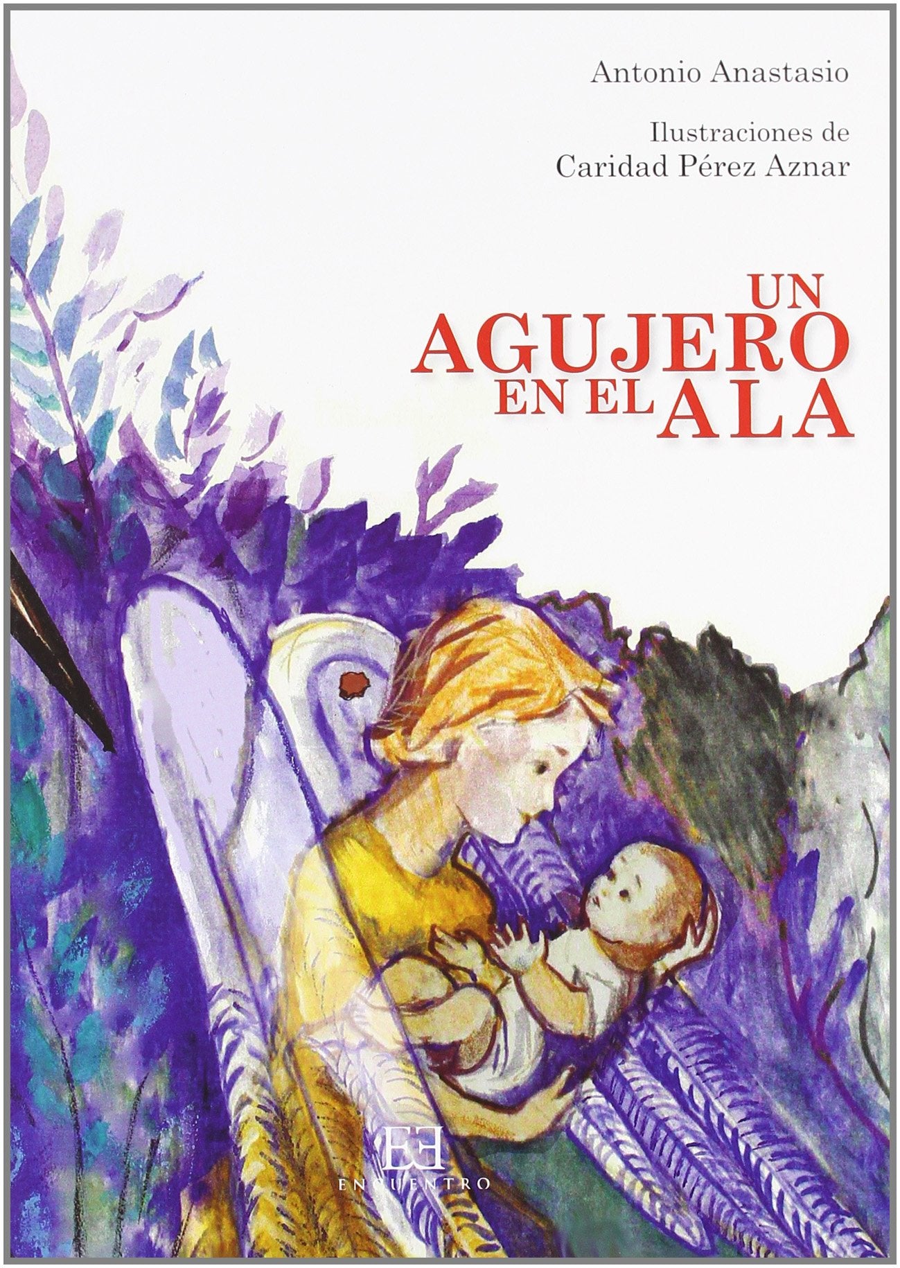 Un agujero en el ala / A Hole in the Wing book