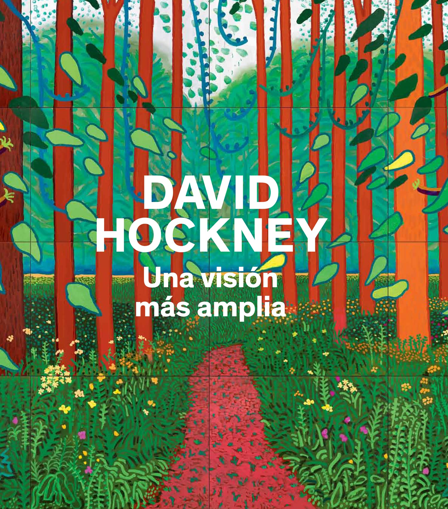 David Hockney, Una visión más amplia (Arte y Fotografía) Non-fiction