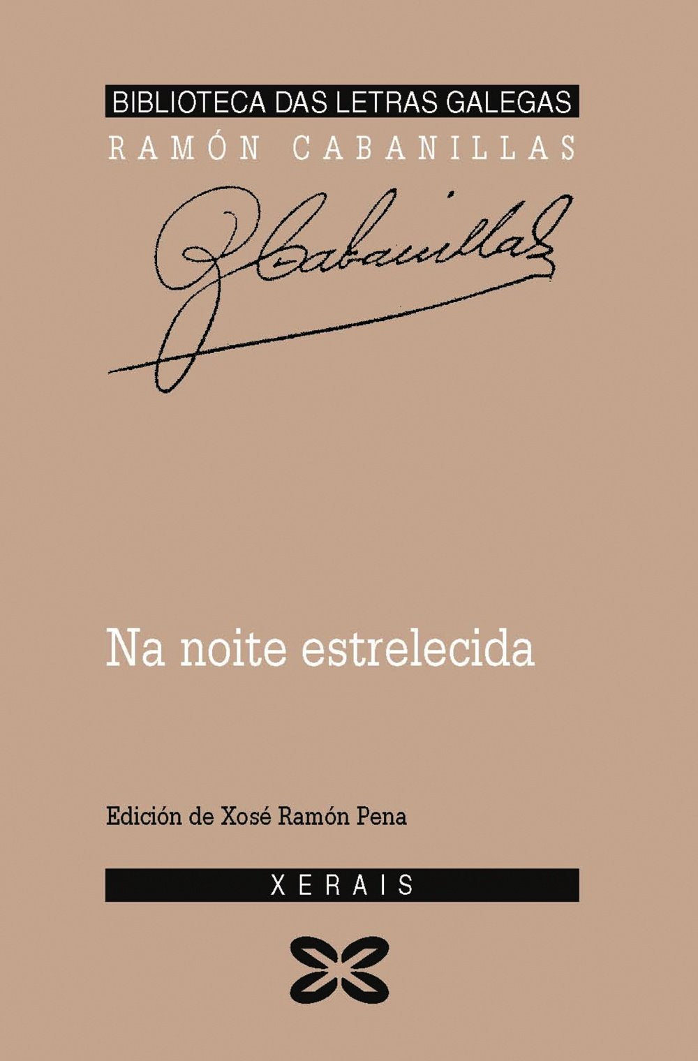 Na noite estrelecida / In the starry night book