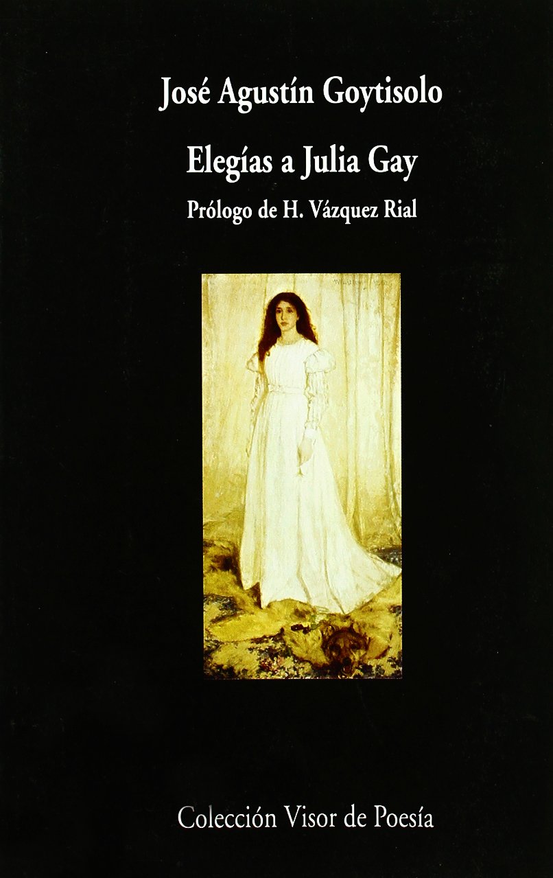 Elegías a Julia Gay (Visor de Poesía, Band 298) Poetry