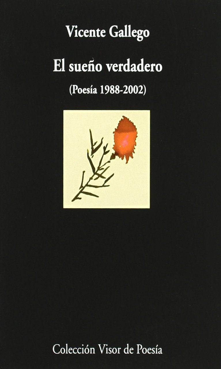 El sueño verdadero: Poesía 1988-2002 (Visor de Poesía, Band 523) Poetry