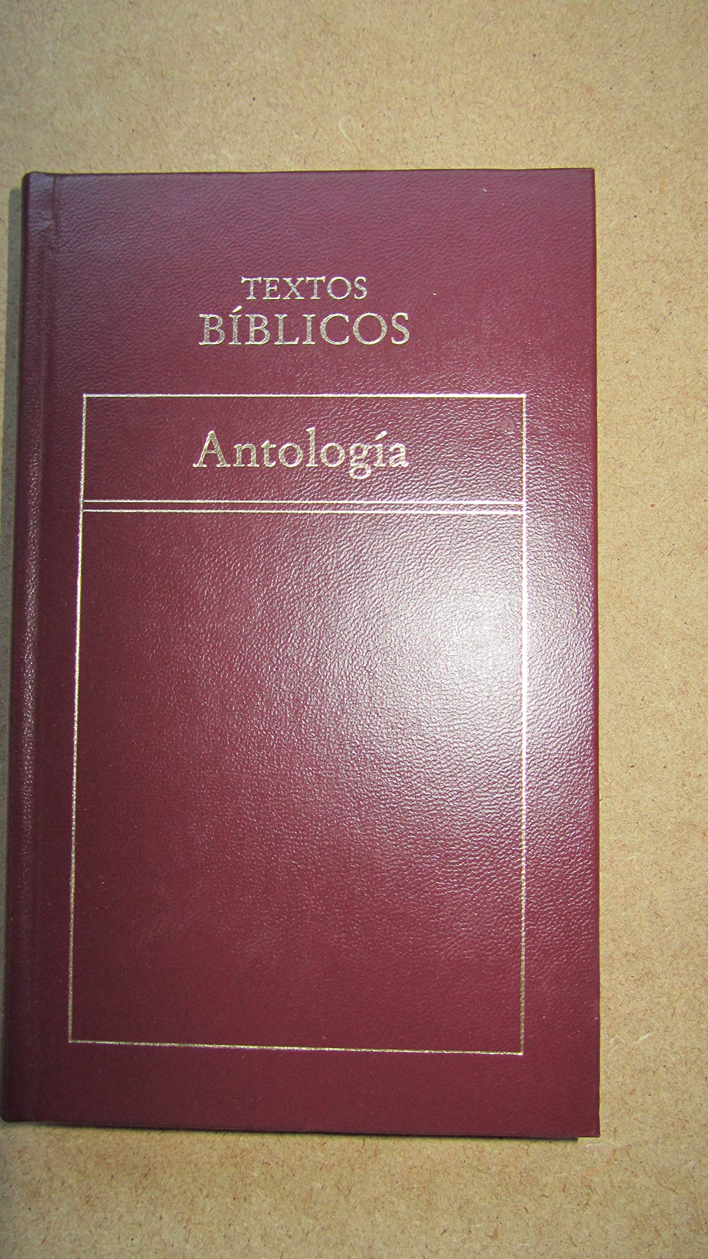 Textos bíblicos: antología Books