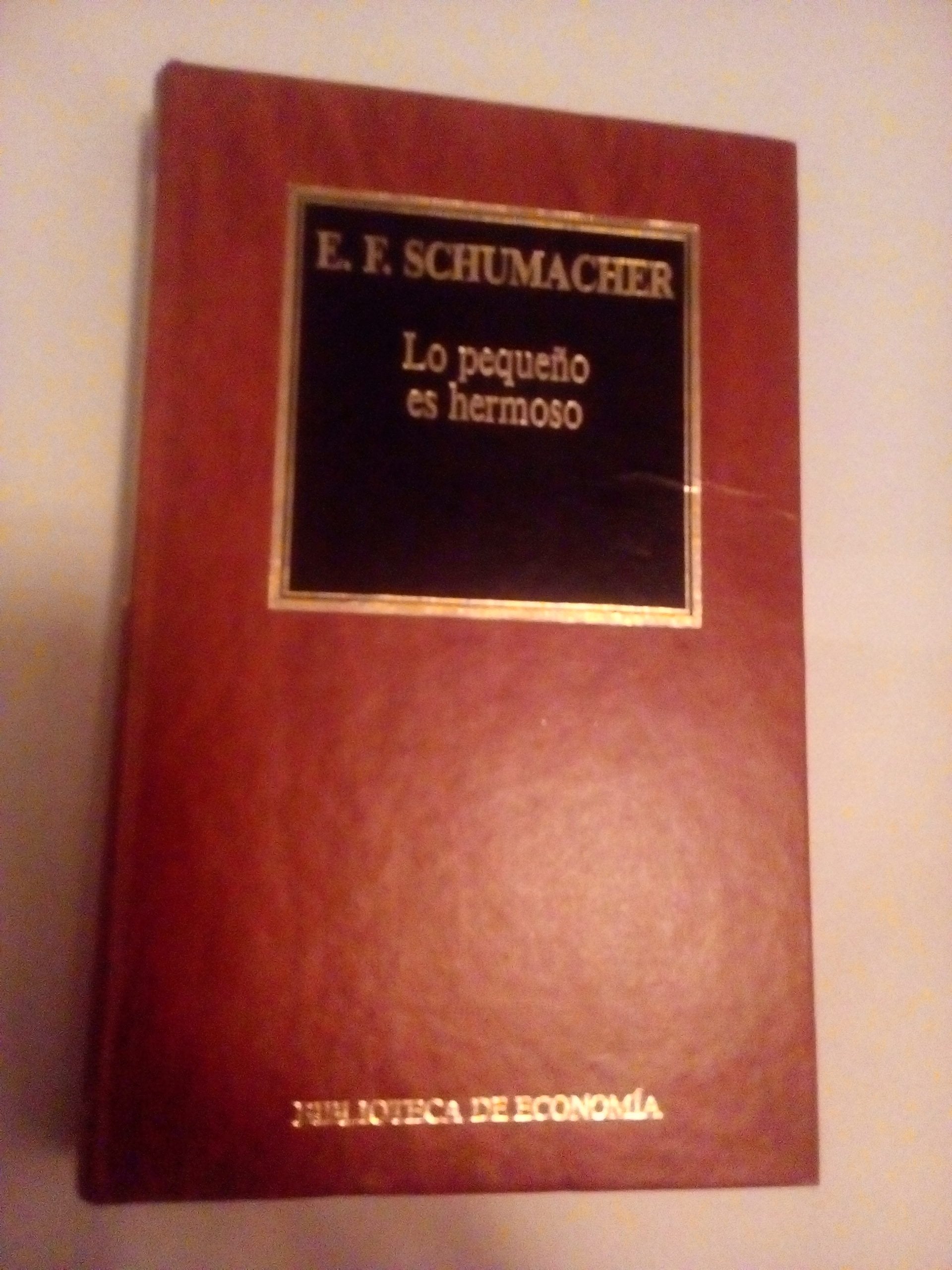 Lo pequeño es hermoso book