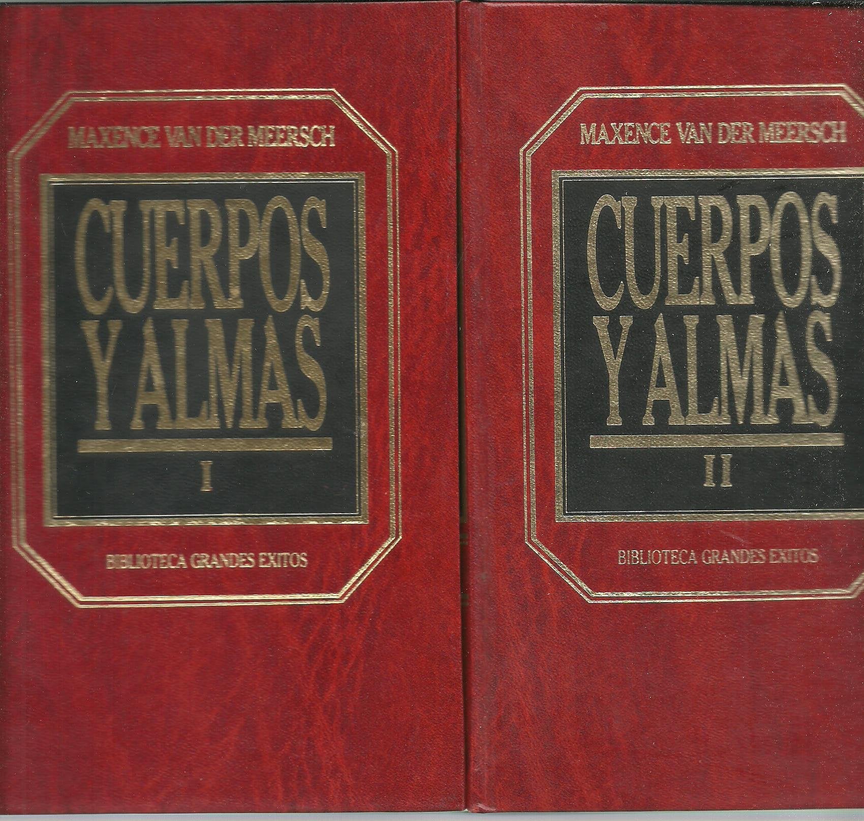 Cuerpos y Almas, Volumen 2 Books