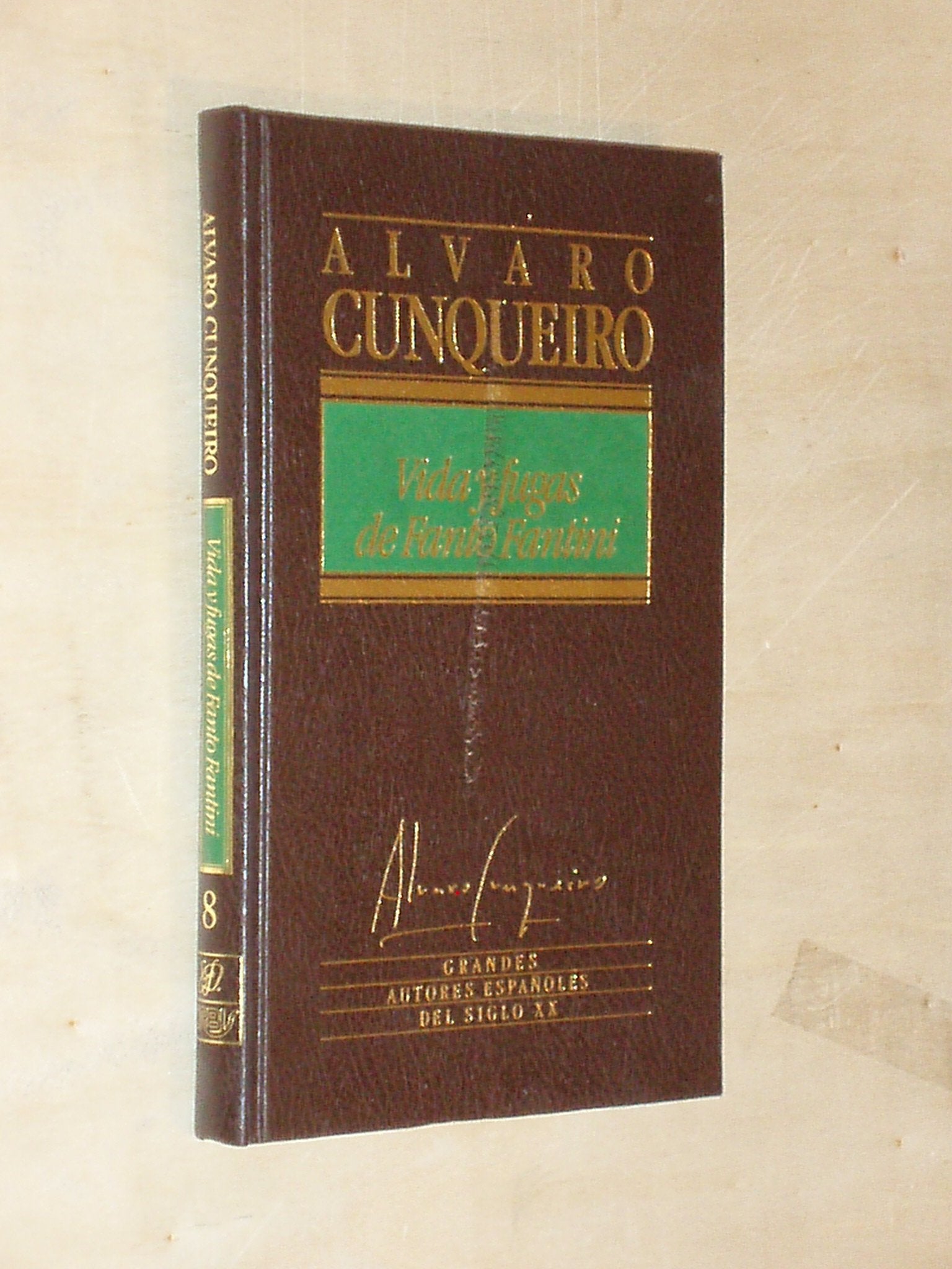 Vida y fugas de Fanto Fantini book