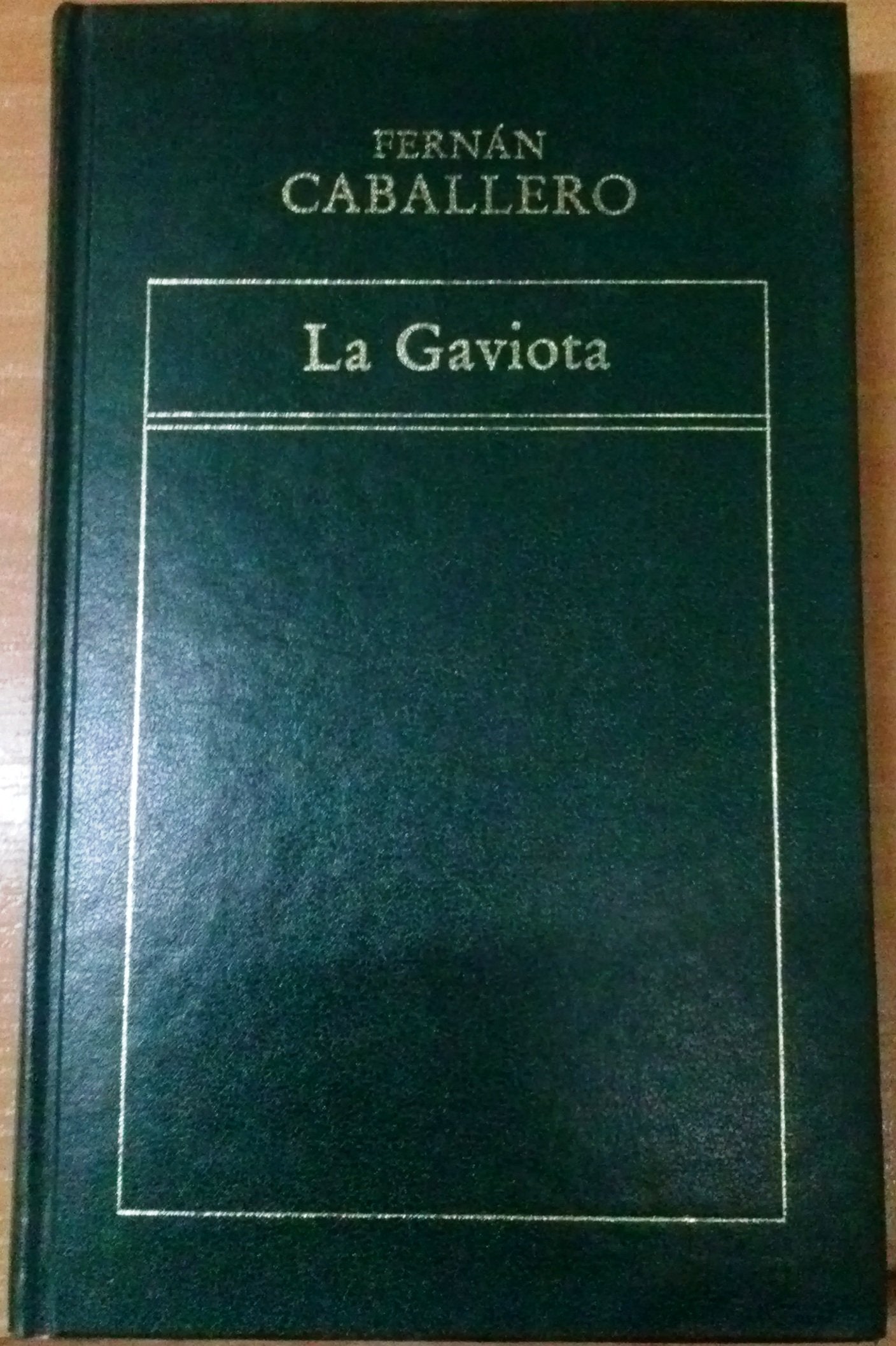 La Gaviota book