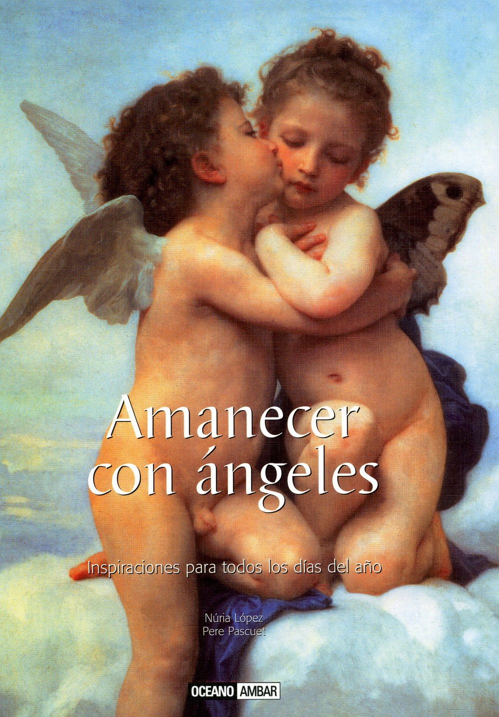 Amanecer con ángeles : inspiraciones para todos los días del año book