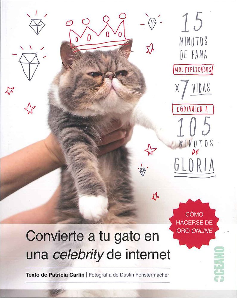 Convierte a tu gato en una celebrity de internet book