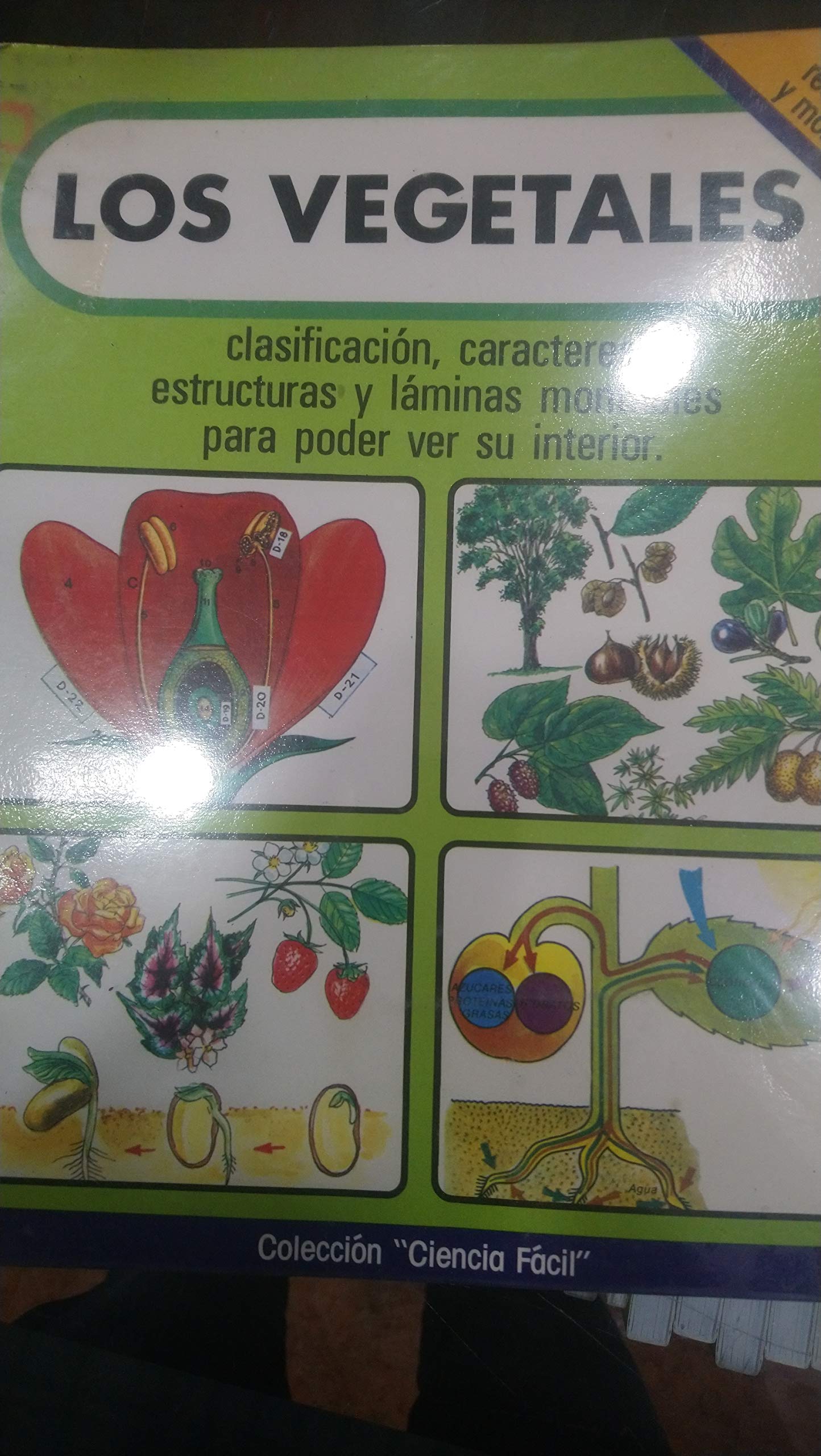 Los Vegetales book