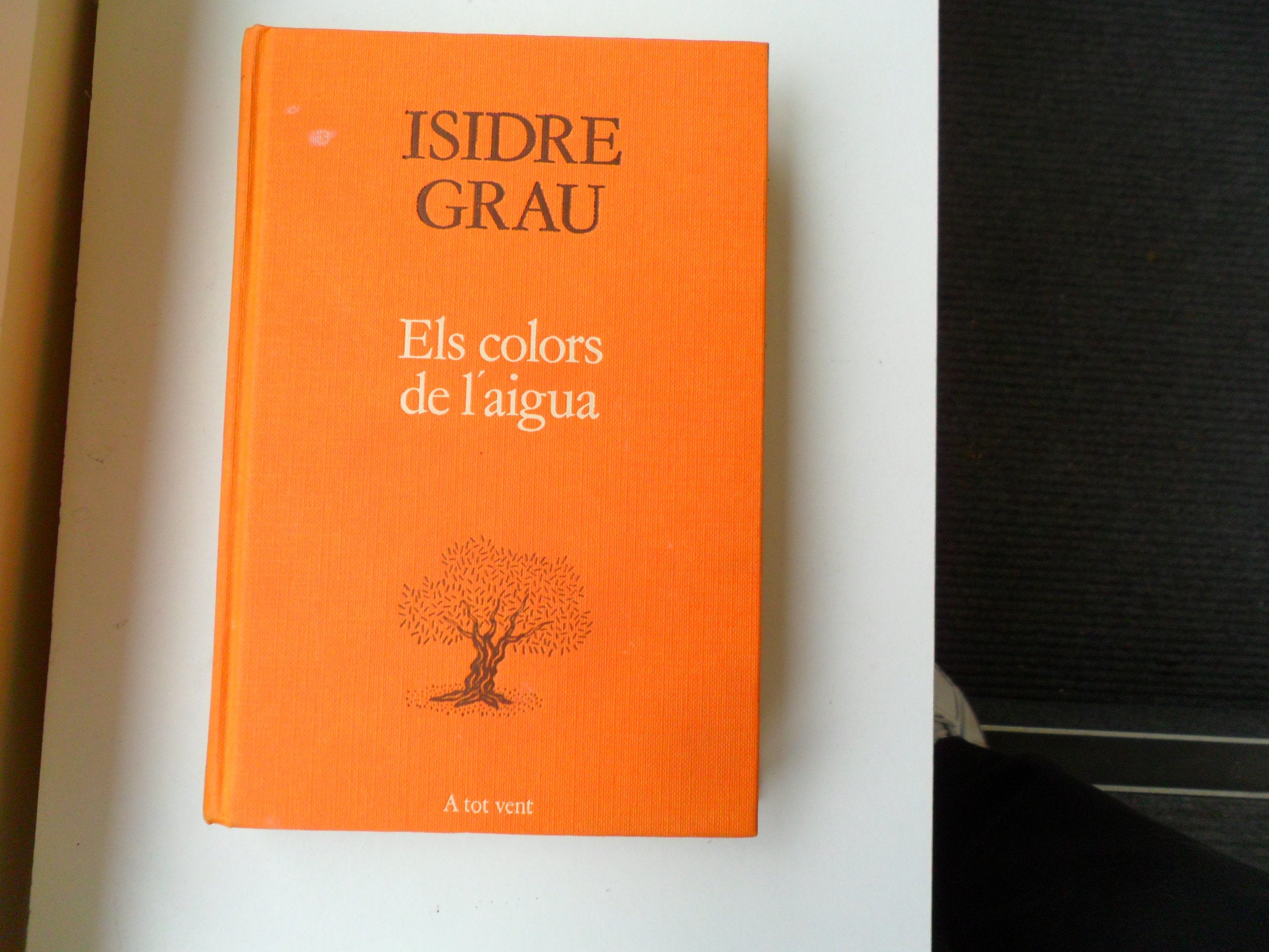 Els colors de l'aigua (A tot vent) (Catalan Edition) Books