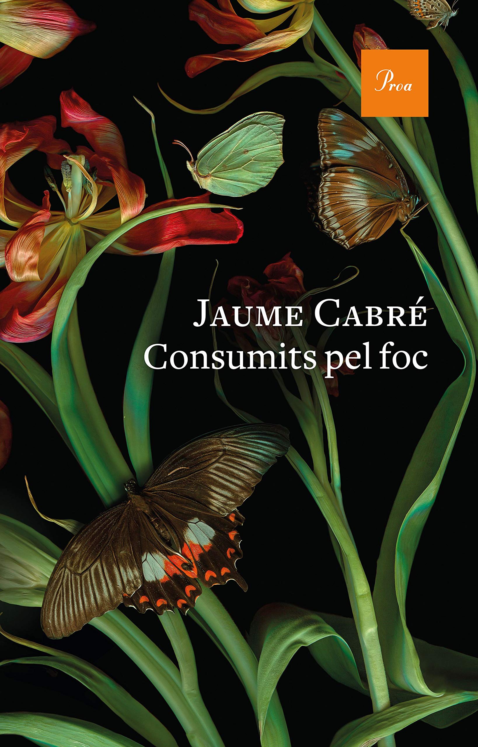 Consumits pel foc (A TOT VENT, Band 745) Contemporary literature