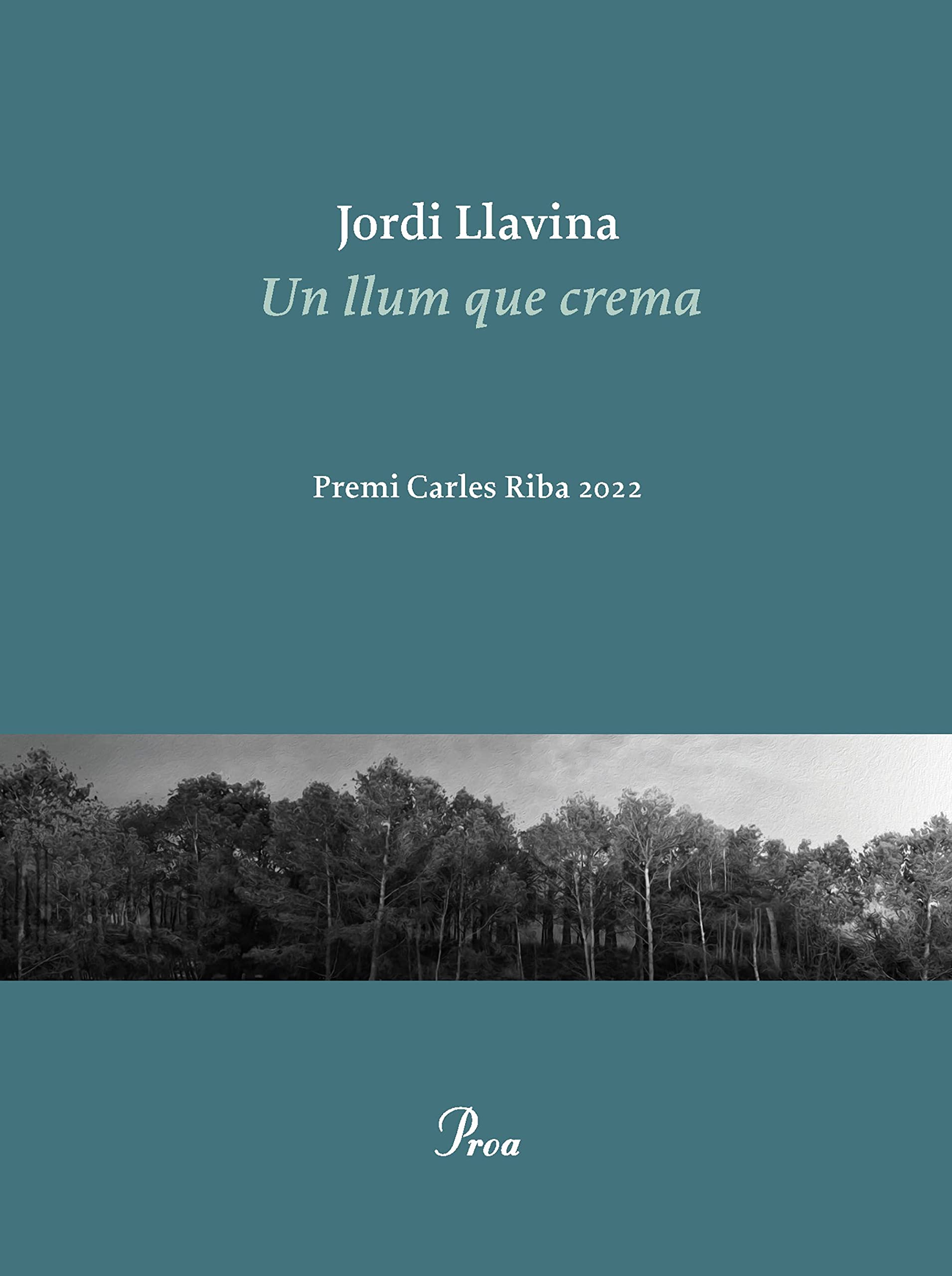 Un llum que crema: Premi Carles Riba 2022 (OSSA MENOR) Books