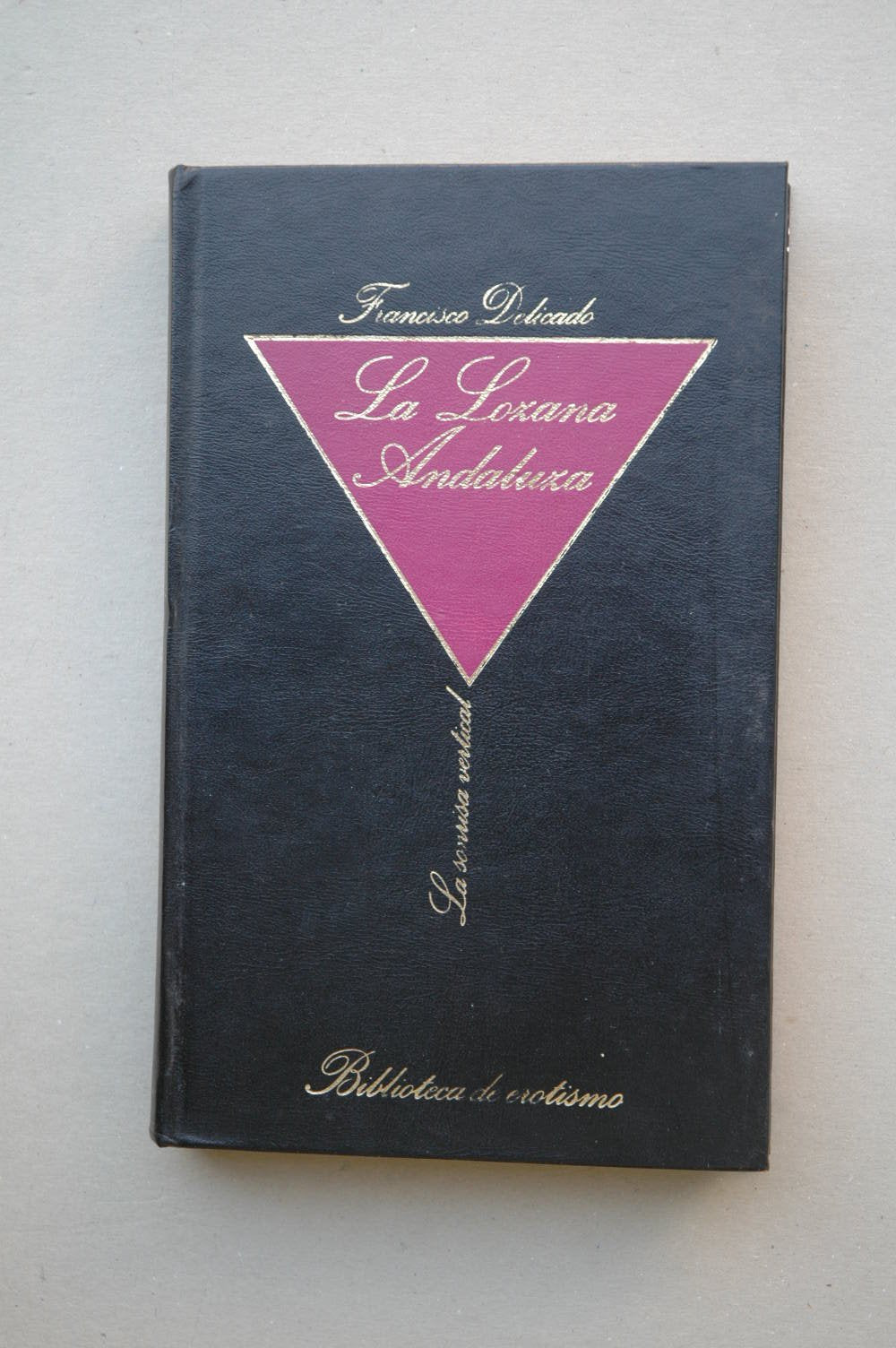 LA LOZANA ANDALUZA book