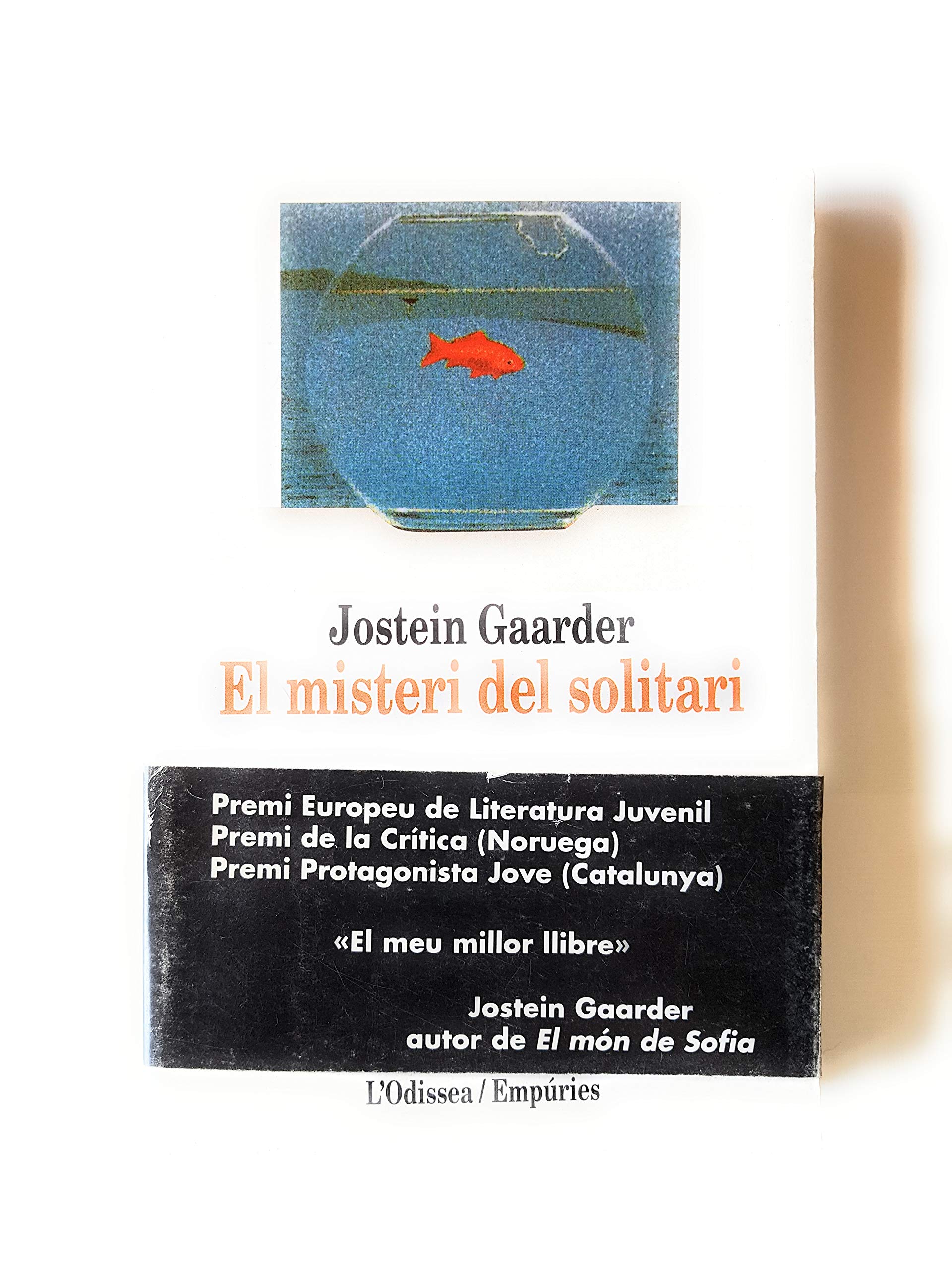 El misteri del solitari book