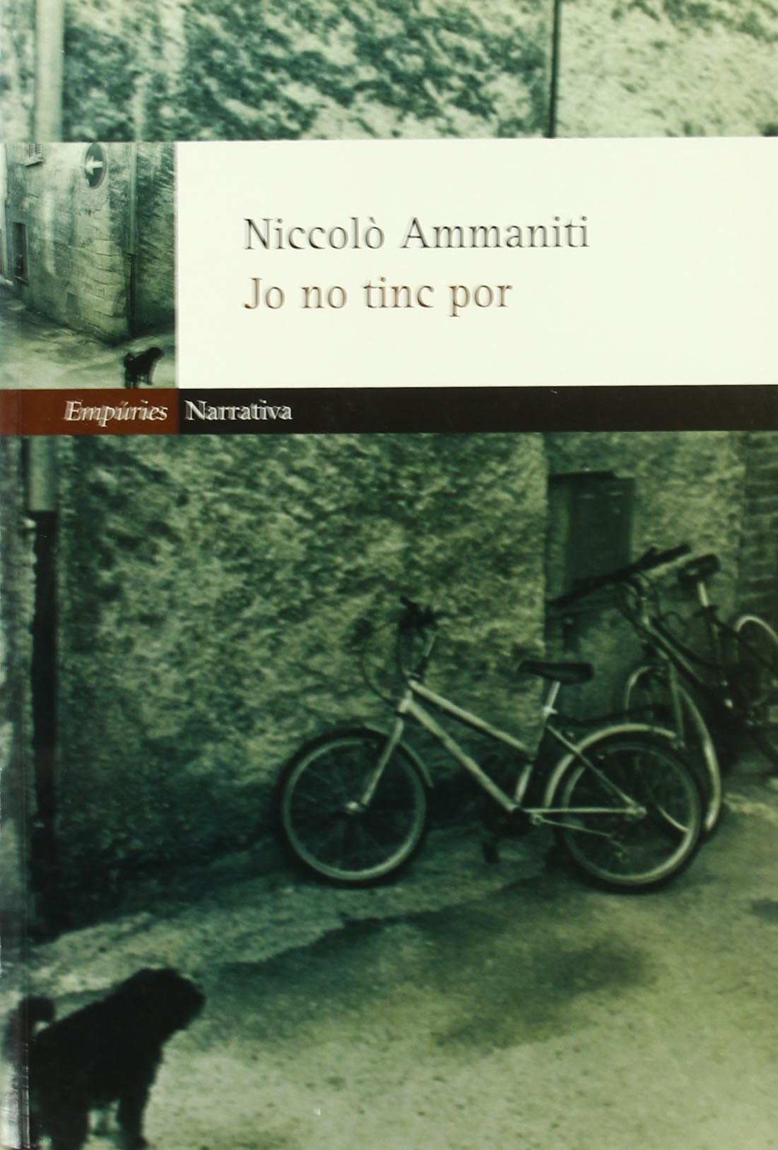 Jo no tinc por (EMPURIES NARRATIVA) Contemporary literature