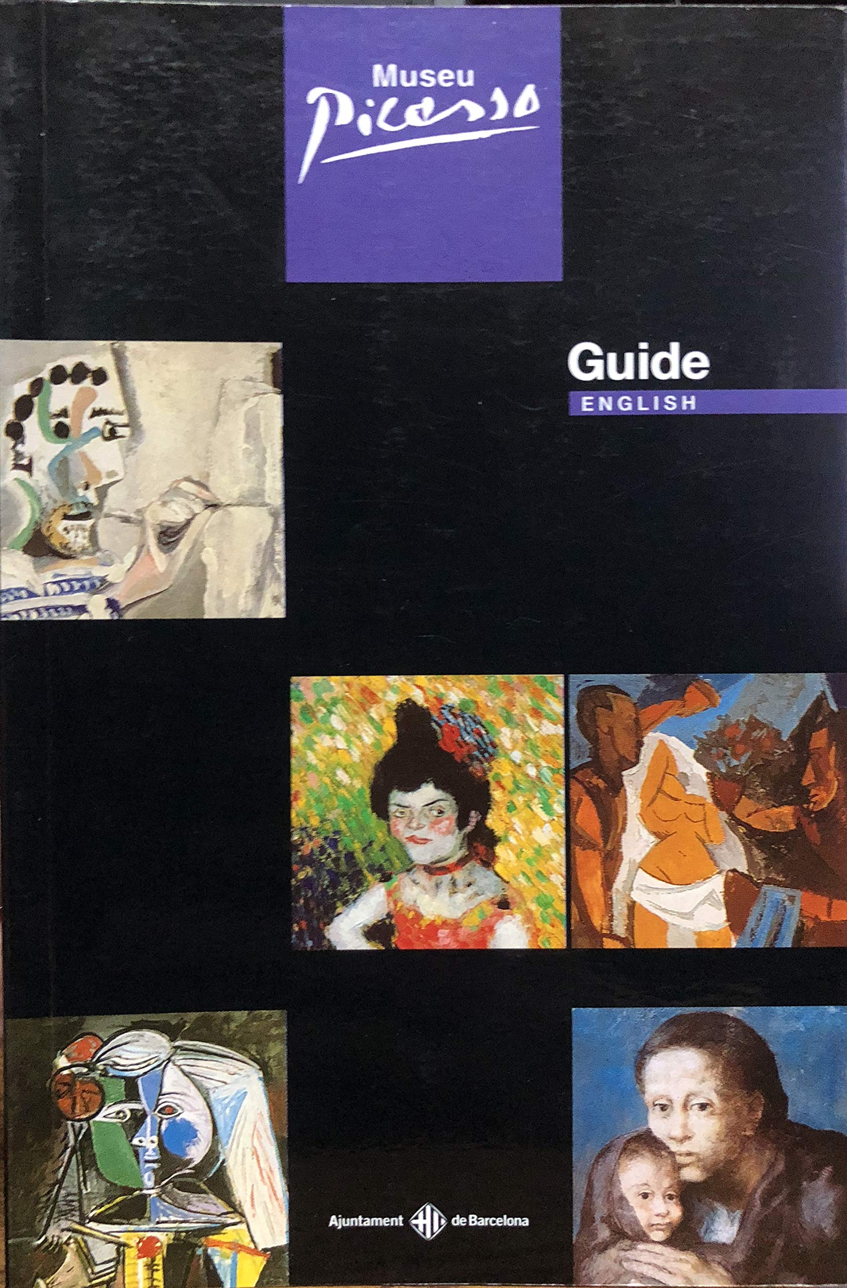 Museum Picasso (English Guide): Institut De Cultur Books