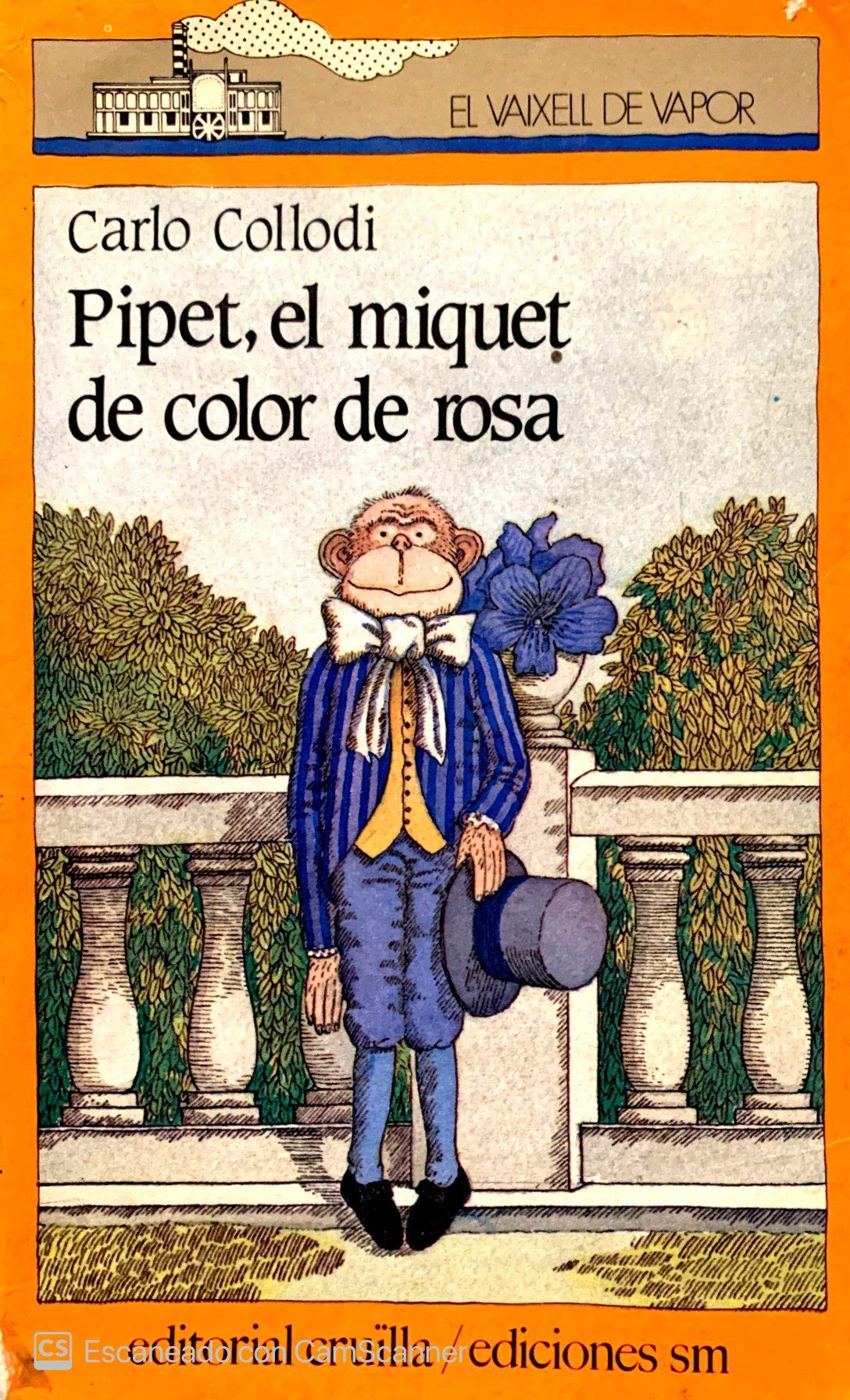 Pipet, el miquet de color de Rosa Books