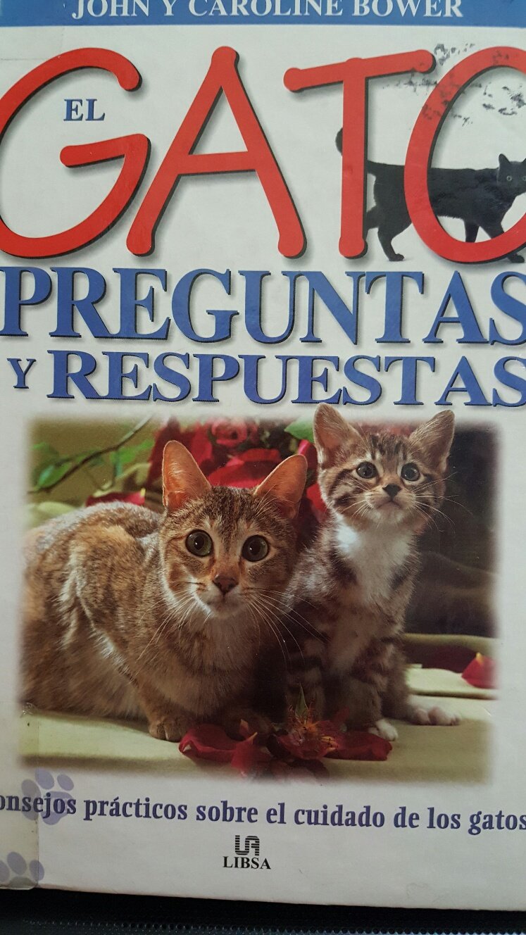 Gato, El: Preguntas Y Respuestas book