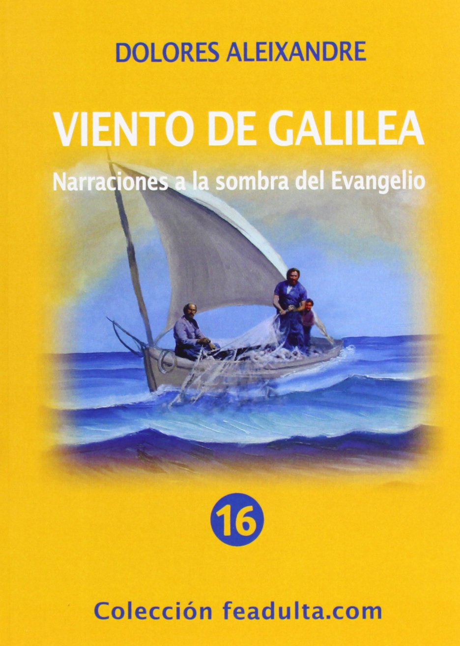 Viento de Galilea : narraciones a la sombra del evangelio book