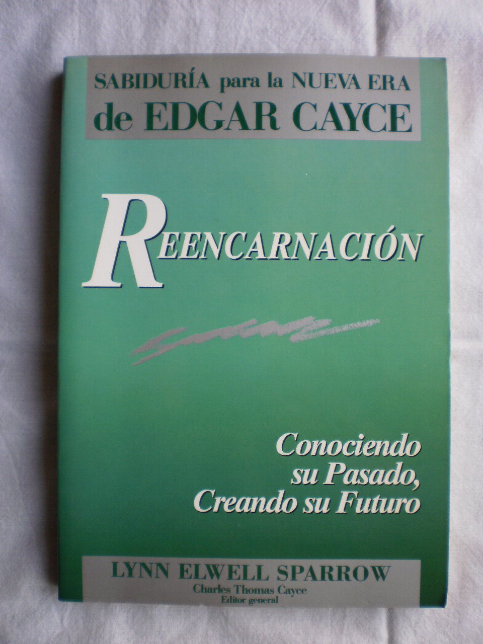 Reencarnacion : conociendo el pasado, creando el futuro book