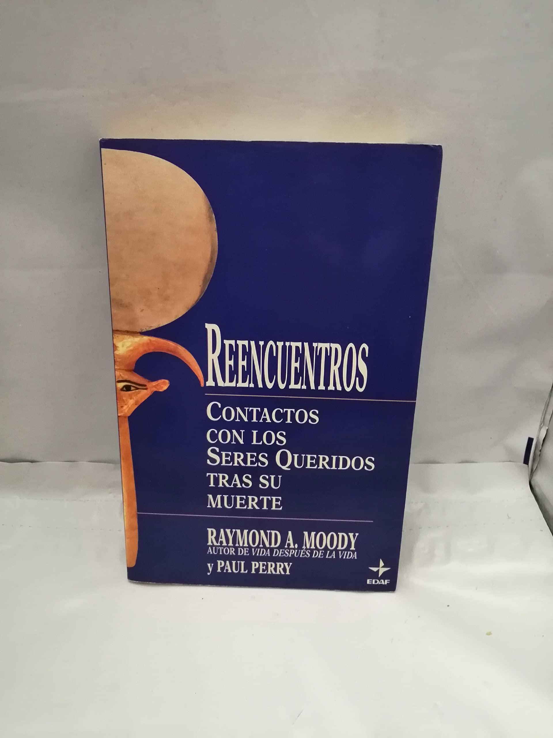 Reencuentros - contactos con los seres queridos tras la muerte Books